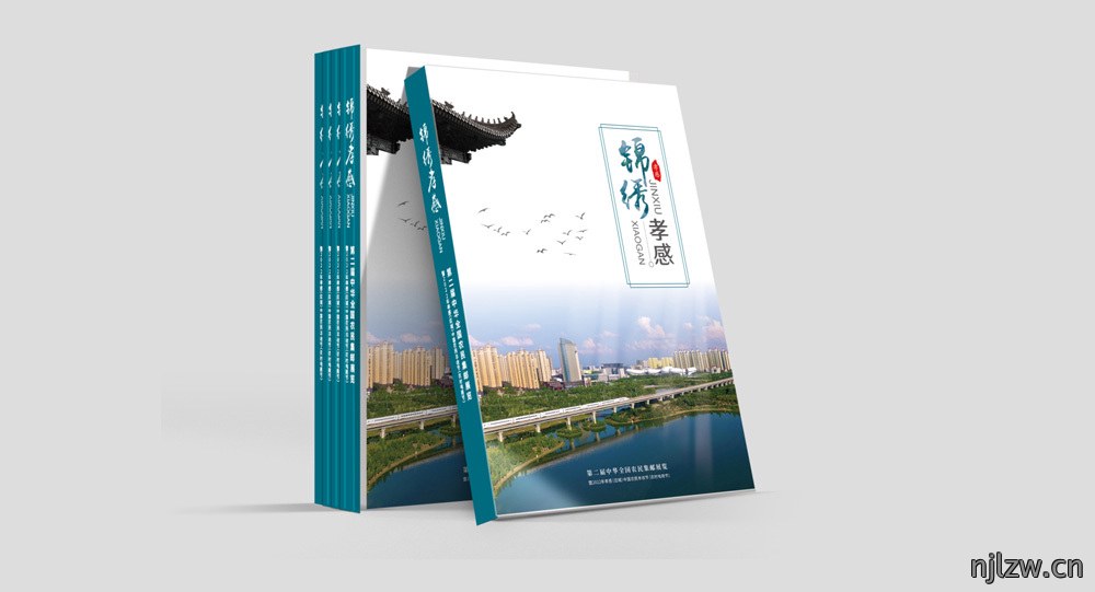 2022政府画册设计案例_政府宣传册设计制作欣赏