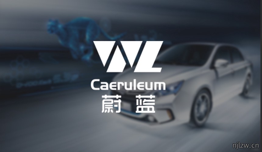 蔚蓝新能源行业标志设计欣赏