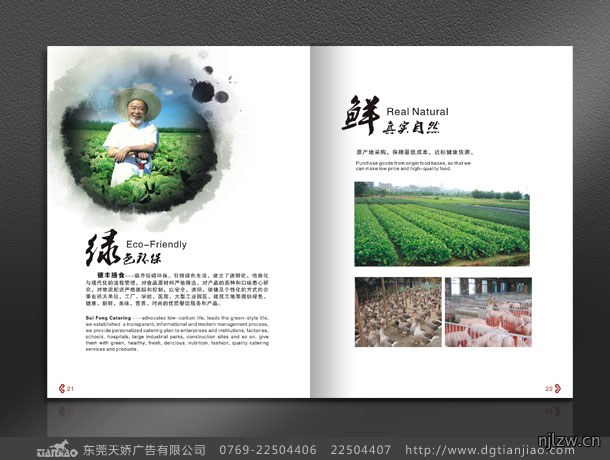 吕众网膳食画册设计
