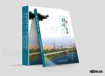 政府画册设计案例欣赏