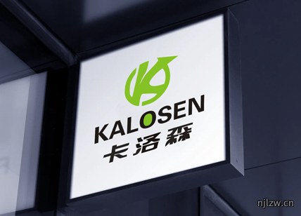 卡洛森电子产品LOGO设计案例